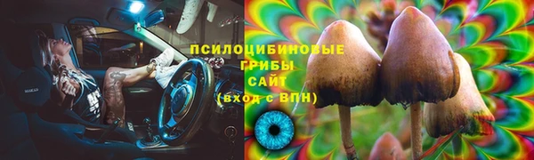 дмт Алексеевка