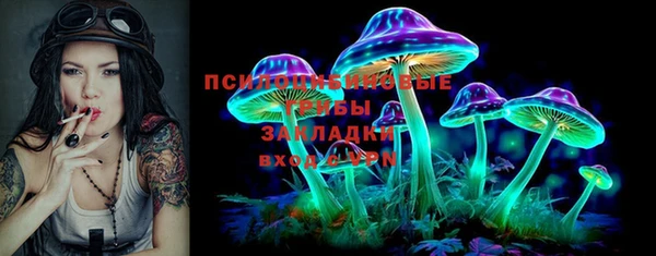 дмт Алексеевка